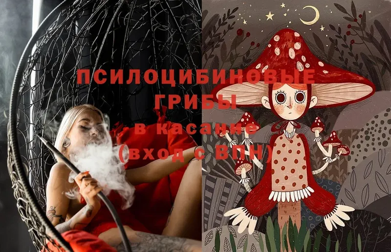 blacksprut tor  Оленегорск  Галлюциногенные грибы Cubensis 